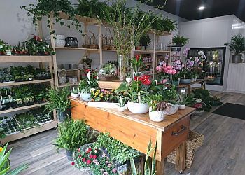 Orangeville florist Orangeville Flowers LTD.