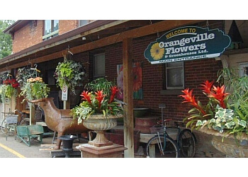 3 Best Florists in Orangeville, ON - Expert Recommendations