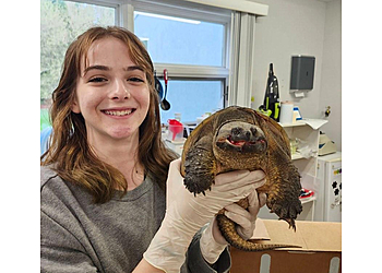 Orillia veterinary clinic Orillia Pet Hospital