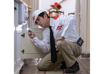 3 Best Pest Control in Coquitlam, BC - ThreeBestRated