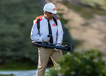 Orkin Canada Barrie - Barrie, ON Services d'extermination de parasites - Pest Treatment Image