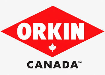 Orkin Canada Barrie Orkin Canada Barrie - Barrie, ON Services d'extermination de parasites - Pest Control Image