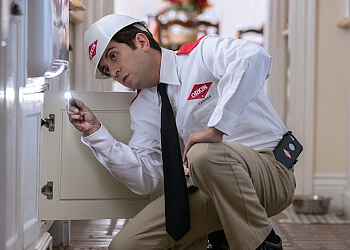 Blainville pest control Orkin Canada Gestion Parasitaire