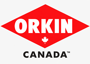 Orkin Canada, LLC. London Orkin Canada, LLC. London - London, ON Services d'extermination de parasites - Pest Control Image