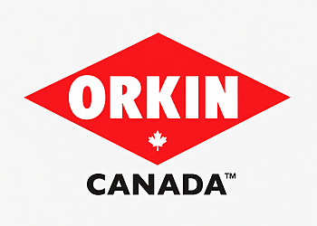 Orkin Canada Pest Control - Moncton, NB Pest Control - Pest Control Image
