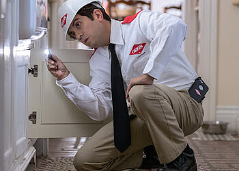 Halifax Services d'extermination de parasites Orkin Canada Pest Control Halifax