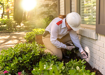 Kelowna Services d'extermination de parasites Orkin Canada Pest Control Kelowna