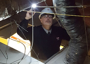 St Johns pest control Orkin Canada Pest Control St. Johns