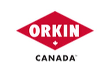 Sarnia
Services d'extermination de parasites
Orkin Sarnia image 1