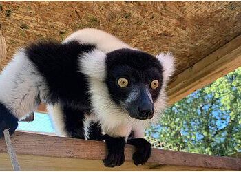 Oshawa places to see Oshawa Zoo