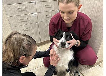 Prince George veterinary clinic Ospika Animal Hospital