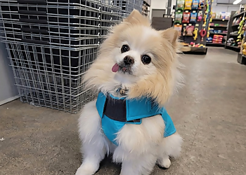 Ospika Pet And Farm Supplies - Prince George, BC Pet Grooming - Service Image