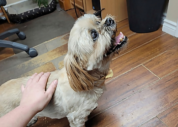 Ospika Pet And Farm Supplies - Prince George, BC Pet Grooming - Service Highlights