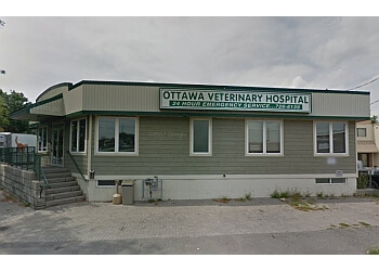 3 Best Veterinary Clinics in Ottawa, ON  ThreeBestRated