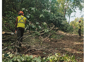 Orangeville Services d'arboriculteur Ott's Tree Service Inc.