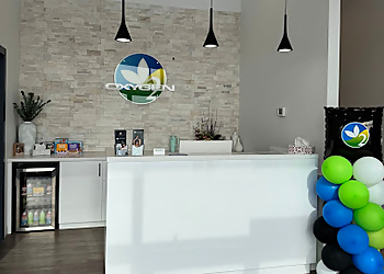 Oxygen Yoga & Fitness Brantford Oxygen Yoga & Fitness Brantford - Brantford, ON Yoga Studios - Interior Image