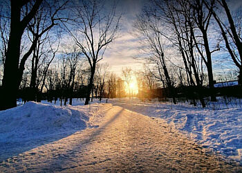 Montreal Sentiers De Randonnée Parc Du Mont-Royal