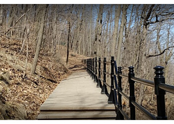 Montreal Sentiers De Randonnée Parc Du Mont-Royal