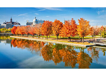 Montreal Sentiers De Randonnée Parc Jean-Drapeau
