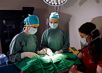 North Bay veterinary clinic Parkside Animal Hospital