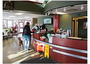 Sherwood Park veterinary clinic Park Veterinary Centre