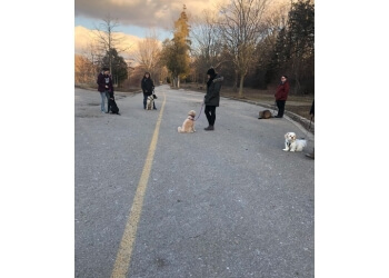 London Dresseurs De Chiens PAWSitively Happy Home