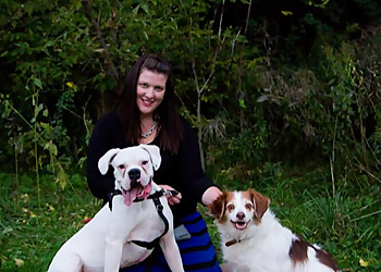 London Dresseurs De Chiens PAWSitively Happy Home