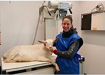 Peterborough veterinary clinic Peterborough Veterinary Services