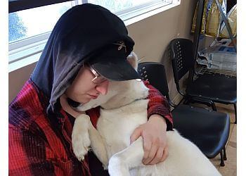 Red Deer veterinary clinic Piper Creek Veterinary Clinic