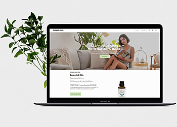 PLAYHEADS - Richmond, BC Web Designers - Service Image