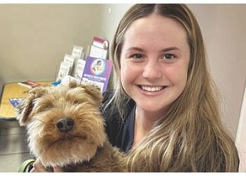 Cambridge veterinary clinic Preston Animal Clinic