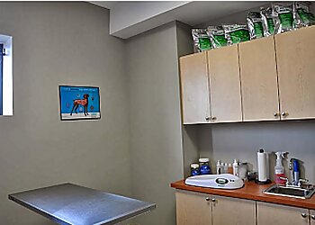 Welland veterinary clinic Prince Charles Animal Hospital