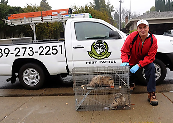 Pro Wildlife Niagara Pro Wildlife Niagara - St Catharines, ON Animal Removal - Service Vehicle Image