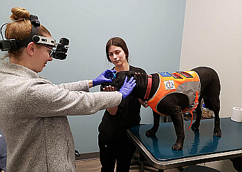 Sherwood Park veterinary clinic Pulse Veterinary Specialists & Emergency