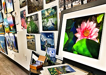 Pacific Arts Market - Nanaimo, BC Art Galleries - Art Exhibition Image