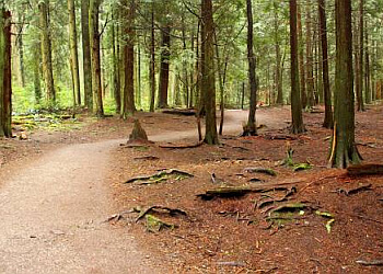 Vancouver hiking trail Pacific Spirit Regional Park