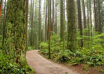 Vancouver hiking trail Pacific Spirit Regional Park