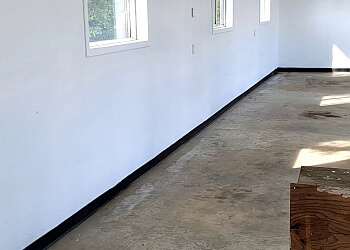 Red Deer painter Painting Life