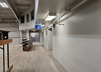 Red Deer painter Painting Life