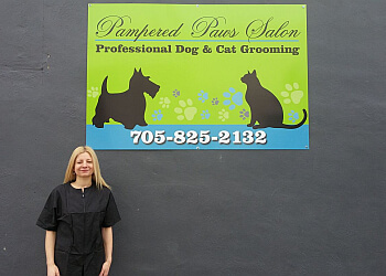 North Bay pet grooming Pampered Paws Salon