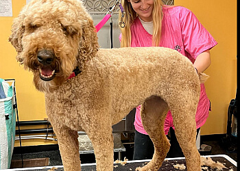 Halton Hills pet grooming Pampered Pooch Spaw & Boutique