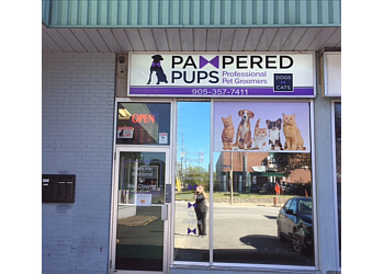 Pampered Pups Pampered Pups