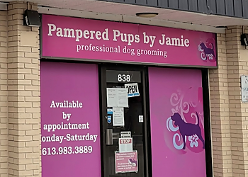 Pampered Pups by Jamie - Kingston, ON Pet Grooming - Business Exterior Image