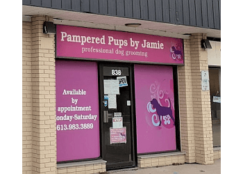 Kingston pet grooming Pampered Pups by Jamie
