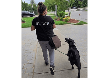 Mississauga Dresseurs De Chiens Pams Paws Dog Training Inc.