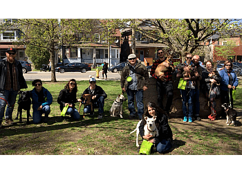 Mississauga Dresseurs De Chiens Pams Paws Dog Training Inc.