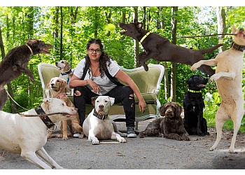 Mississauga
Dresseurs De Chiens
Pams Paws Dog Training Inc. image 1