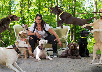 Mississauga dog trainer Pams Paws Inc.