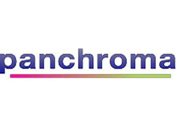 Panchroma Website Development 