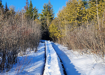 Gatineau hiking trail Parc de la Forêt-Boucher